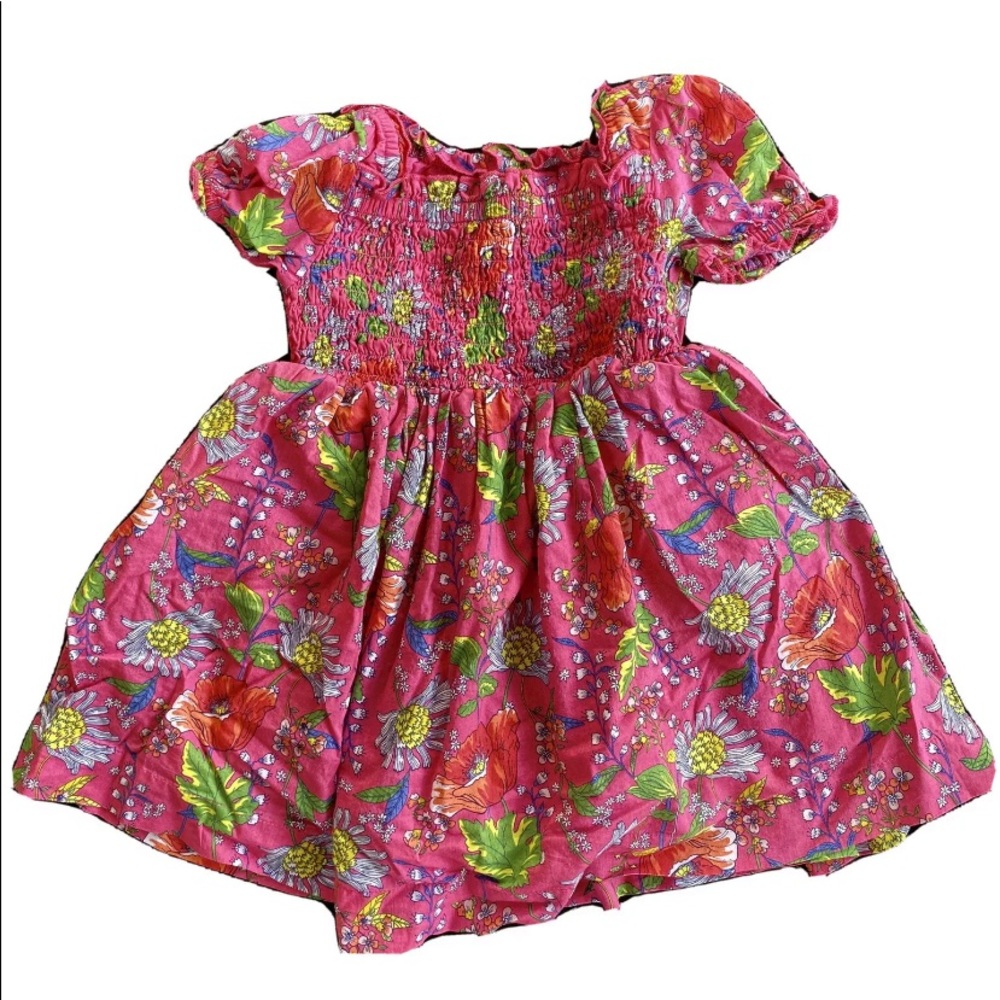 Baby Gap Pink bright colorful fall floral dress 2t
